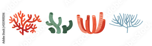 Sea Weeds and Algae of Different Color and Shape Vector Set