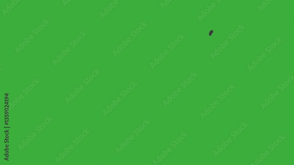 Animation cartoon video loop fire letter X on green screen background Animation cartoon video loop fire letter X on green screen background