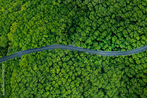 Aerial view of forest road and green trees. Transportation and environment. Forest view angle.
