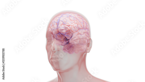 Neurodegeneration, conceptual illustration