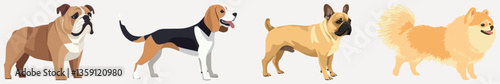 Diverse dog breeds illustration, element vector set