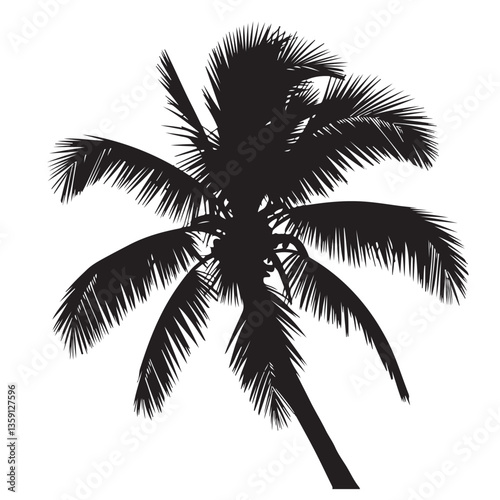 
Palm trees design elements set,silhouette of a plam tree,Palm tree's