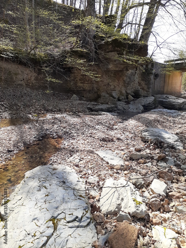 Fototapeta premium river in the mountains