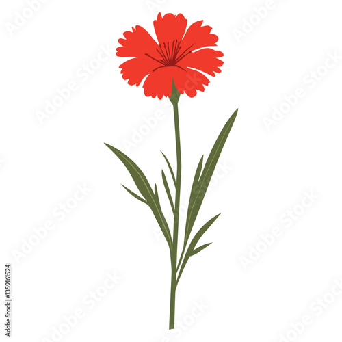A red Autumn Hawkbit wildflower clip art illustration carnation design vector