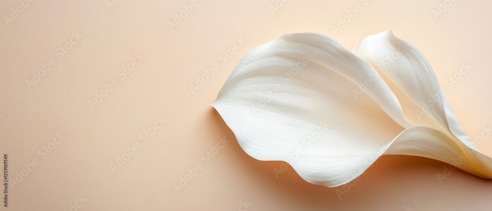 Macro of a single petal glowing with soft light in a minimalist style, flora tenderness, natural serenity Macro of a single petal glowing with soft light in a minimalist style, flora tenderness, natural serenity