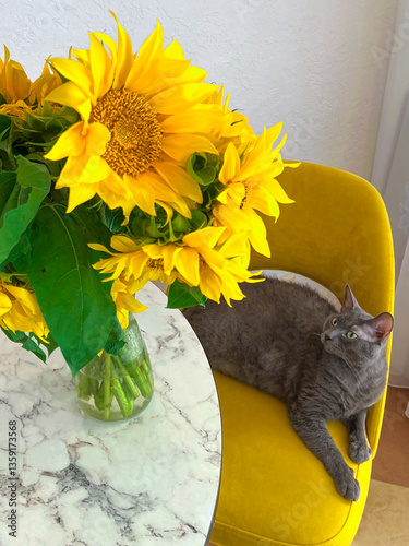 A grey cat is lying on a yellow armchair near a table with a bouquet of sunflowers