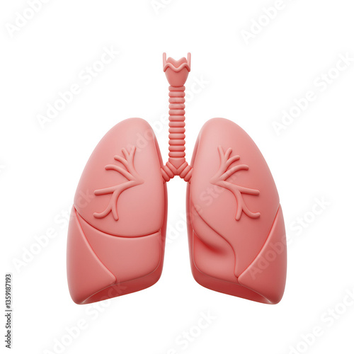 Minimal 3D Line Pair of Lungs with Bronchi Details