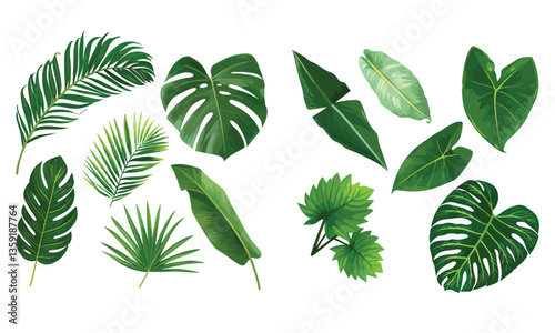 Set of vector illustrators of leaves of tropical various plants