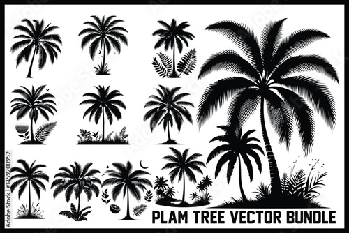 Tropical Palm Tree Vector Silhouette photo