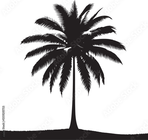Tropical Palm Tree Vector Silhouette photo