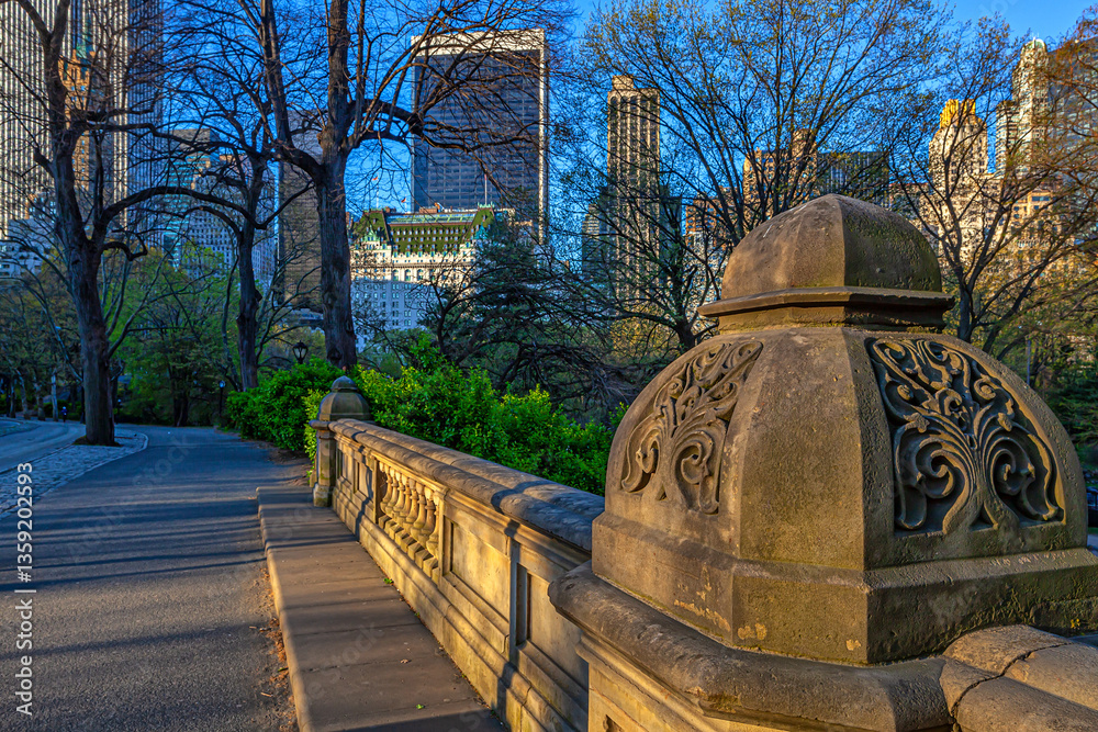 Central Park in spring, early morning