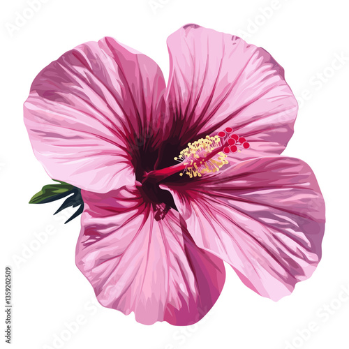 Pink hibiscus flower icon illustration petals design vector
