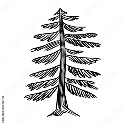 Obraz na płótnie Redwood tree drawing art sketch vector w salonie