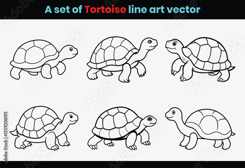 set of turtle animal line art vector.
