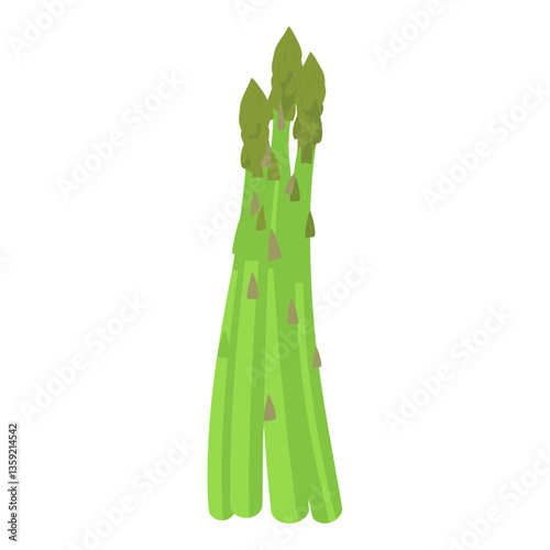 Asparagus illustration vegetable food vector