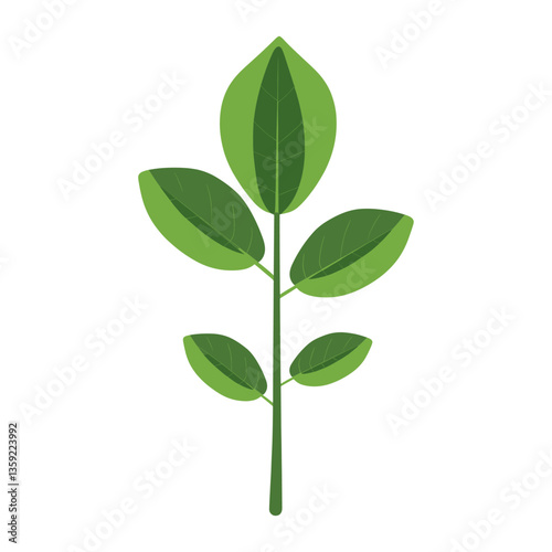 Front view of a simple green elongated clover leaf illustration plant eco-friendly vector