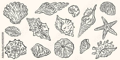 Hand drawn seashells drawing ink set. Minimalist line art, naive marine sketch. Summer vacation design elements for poster, menu, banners, invitation. Tropical beach shells. Vector illustration.