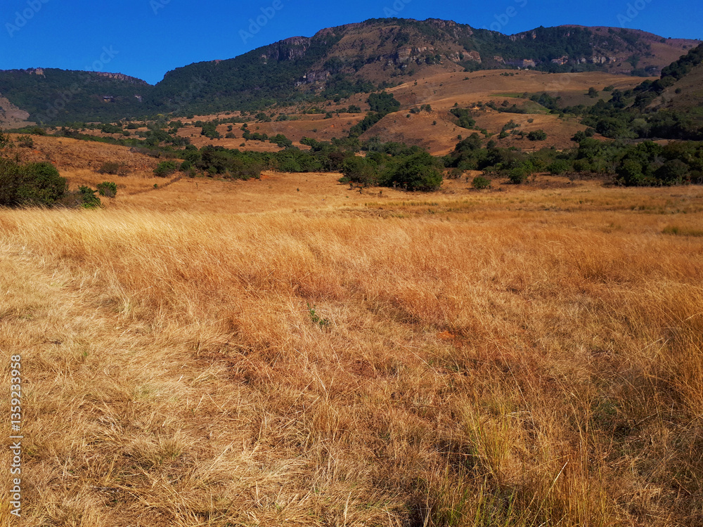 Fototapeta premium Autumn in the mountains