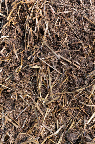 General stock - gardening. ..Horse manure for the garden. .spring, voorjaar, allotment, moestuin, garden, paardenpoep, mest, straw, stro,