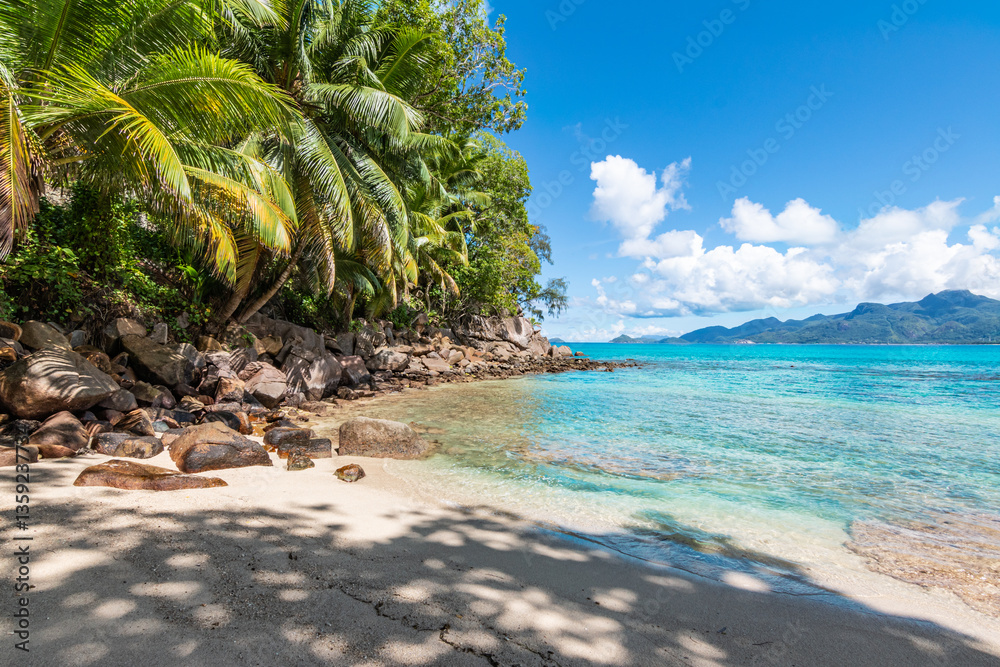 Tropical Beach with Palm Trees and Rocks, Mahé Island, Seychelles