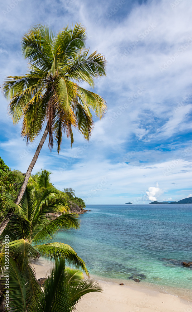 Vertical Picture with Palm Trees on the Beach of Mahé Island, Seychelles