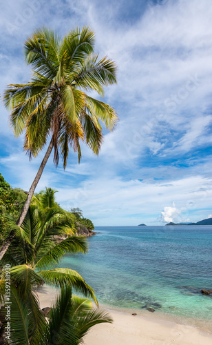 Obraz na płótnie Vertical Picture with Palm Trees on the Beach of Mahé Island, Seychelles w salonie
