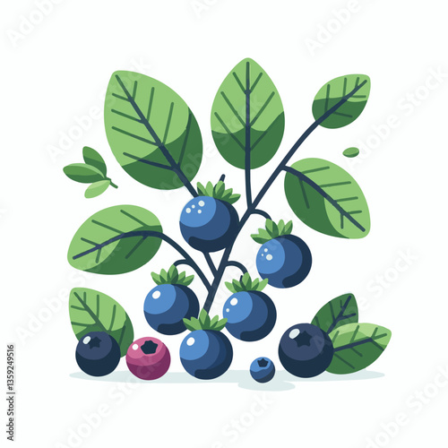 blueberry, bilberry, fresh, background, berry, food, blue, healthy, fruit, delicious, ripe, closeup, natural, white, dessert, leaves, organic, raw, sweet, vegetarian, berries, huckleberry, nutrition, 