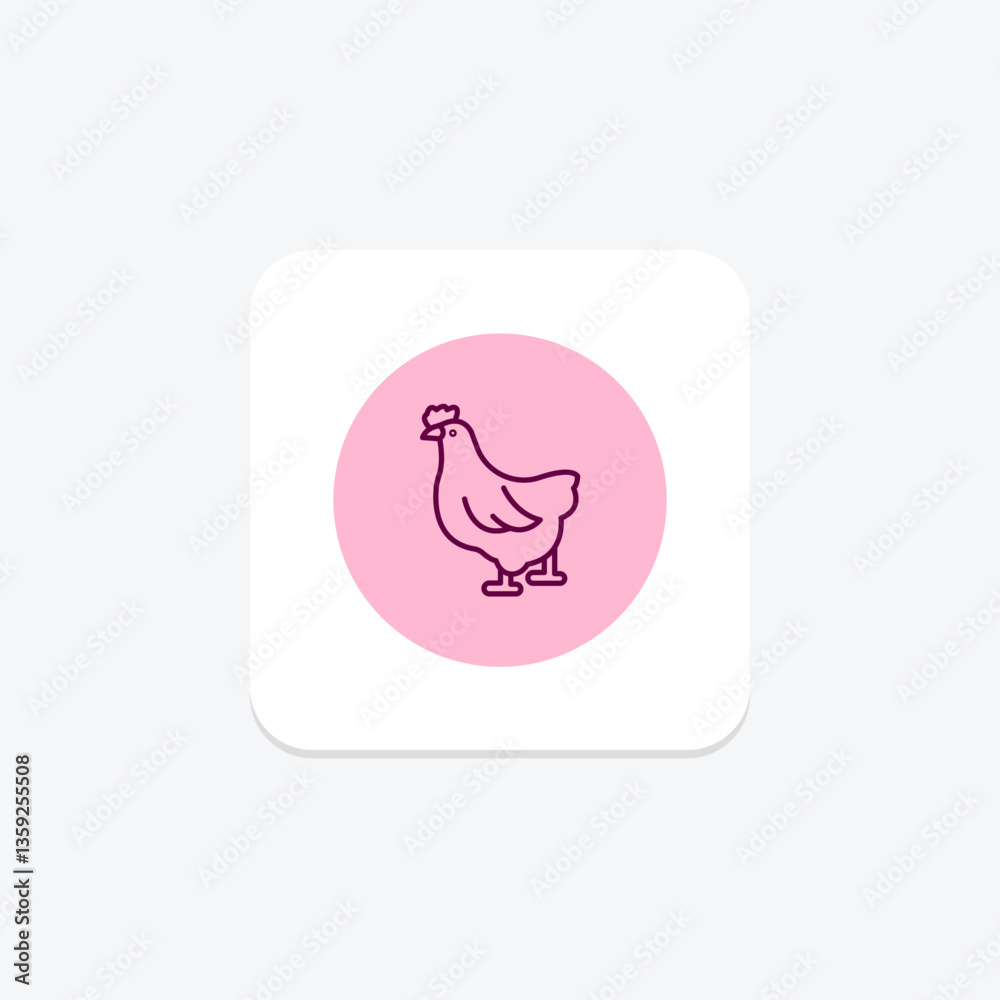 Fototapeta premium Poultry, vector, pixel perfect, illustrator file