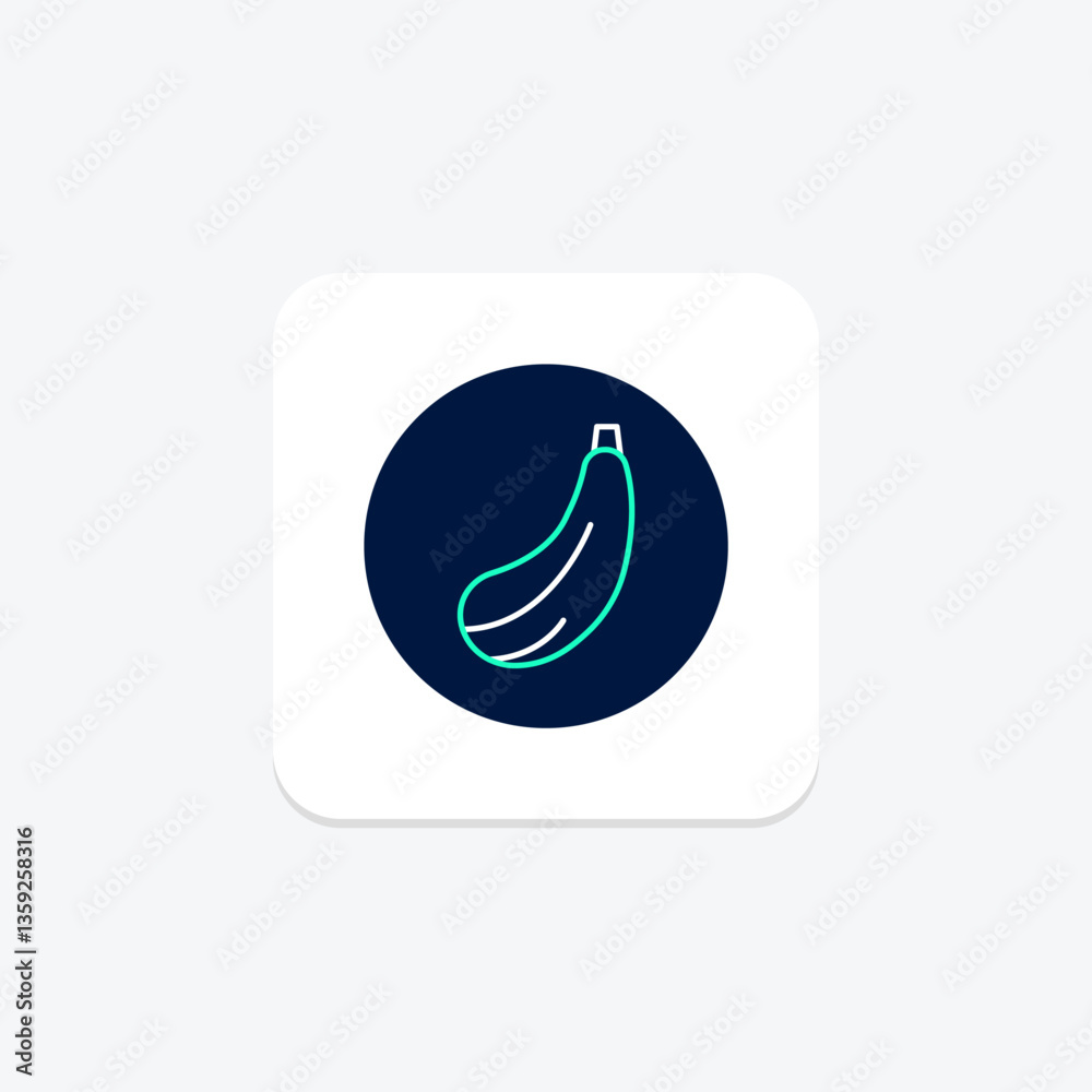 Obraz premium Zucchini, vector, pixel perfect, illustrator file