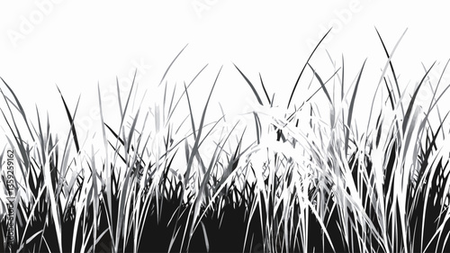 A high-contrast monochrome image depicting a dense collection of grass blades. The image utilizes a stark black and white palette, with strong shadows and highlights creating a textured effect. The