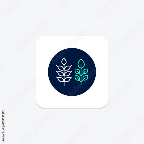 Wheat, vector, pixel perfect, illustrator file