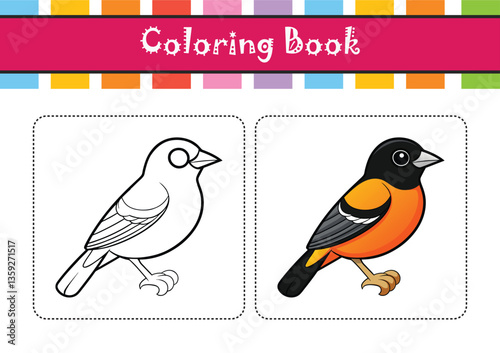  Vivid Baltimore Oriole Bird Design