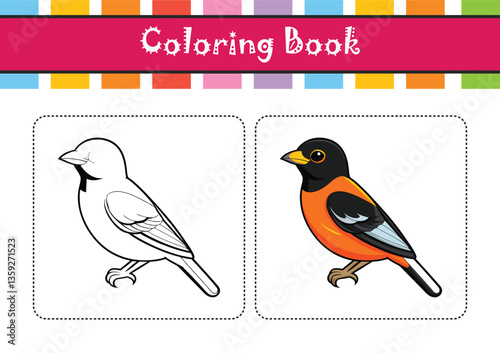  Stunning Baltimore Oriole Bird Representation