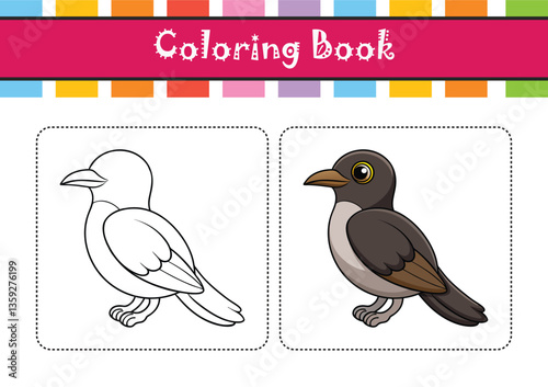 Vivid Black-Billed Cuckoo Bird Representation