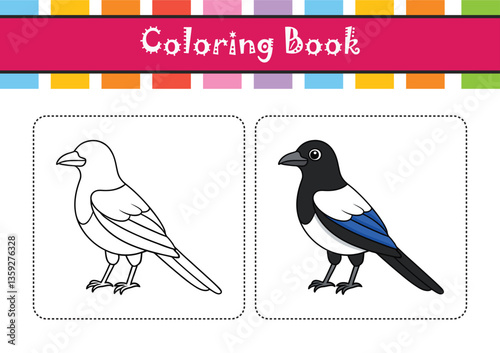  Charming Black-Billed Magpie Bird Illustration