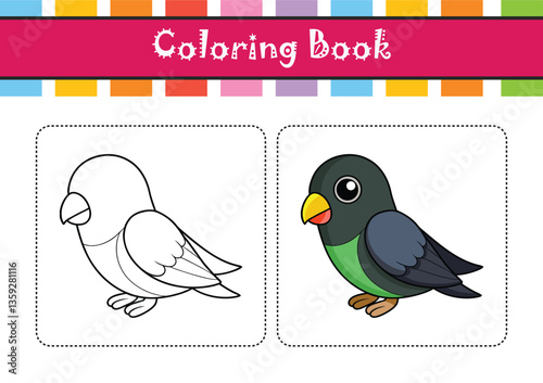  Realistic Black-winged Lovebird Bird Illustration