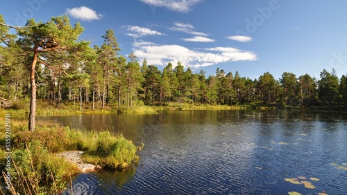 Dalsland-72