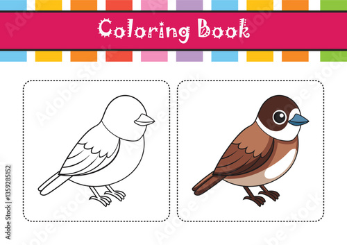  Realistic Boreal Chickadee Illustration