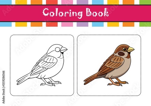  Realistic Brewer's Sparrow Bird Illustration