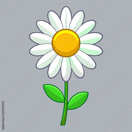 camomile on a white background
