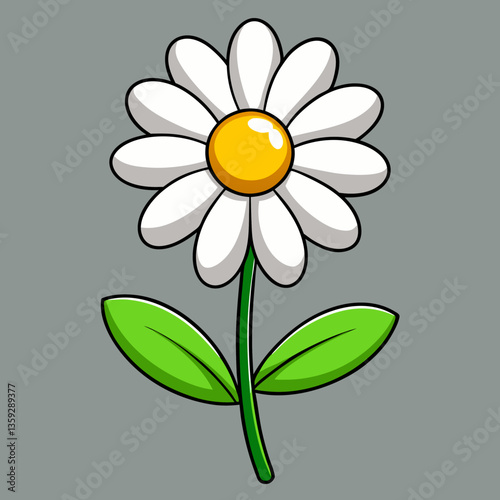 camomile on a white background