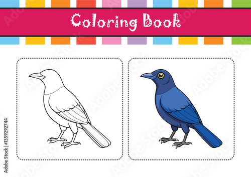  Realistic Carib Grackle Bird Illustration