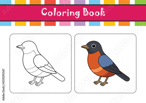  Stunning Chestnut-bellied Rock Thrush Bird Vector