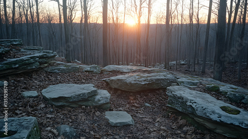 A serene forest scene with sunlight streaming through the trees highlighting the rocky foreground covered in fallen lea
