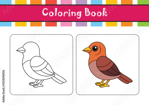  Charming Chinese Thrush Bird Illustration