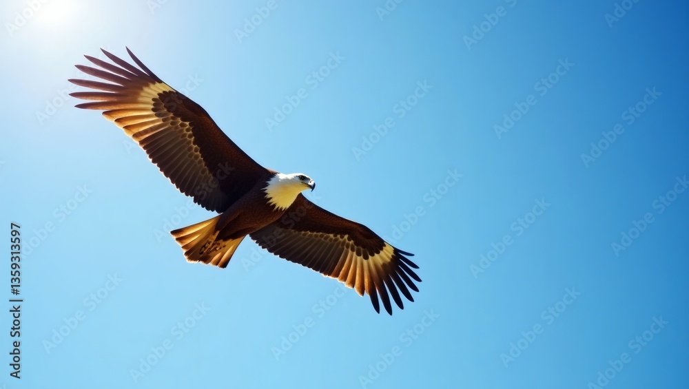 Obraz premium an eagle soaring gracefully through a clear blue sky, its wings spread wide