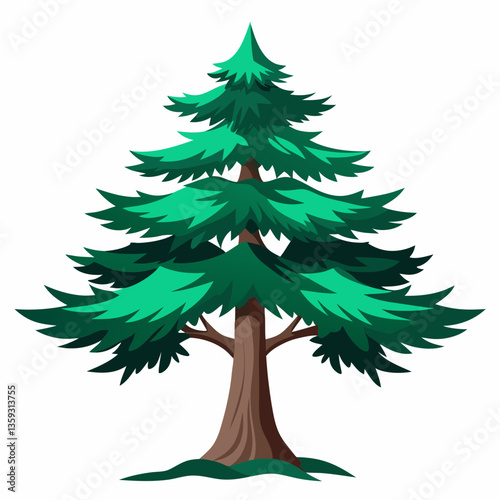 rugged cedar tree with dark green needles