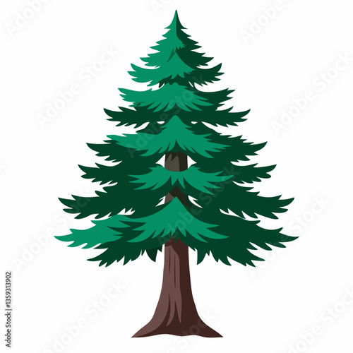 rugged cedar tree with dark green needles