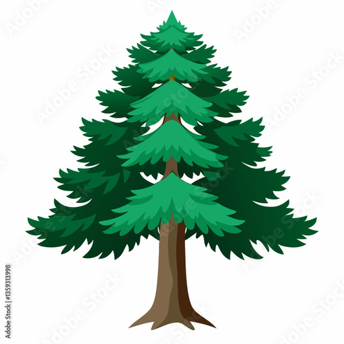rugged cedar tree with dark green needles