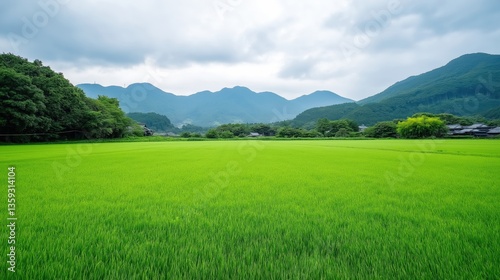 Green Rice Field with Mountain Backdrop: Vibrant Landscape Photography of Southeast Asia's Eco-Friendly Farmland